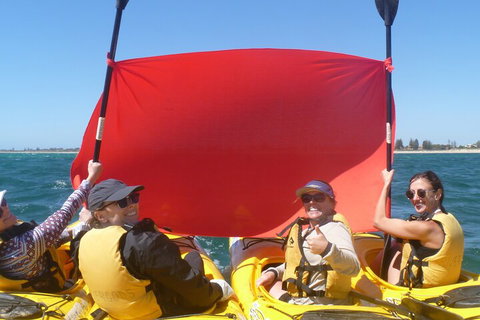 Seal Island And Penguin Island Or Point Peron Sea Kayak Tour - Mackay Tourism 2