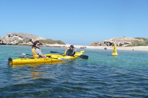 Seal Island And Penguin Island Or Point Peron Sea Kayak Tour - Mackay Tourism 3