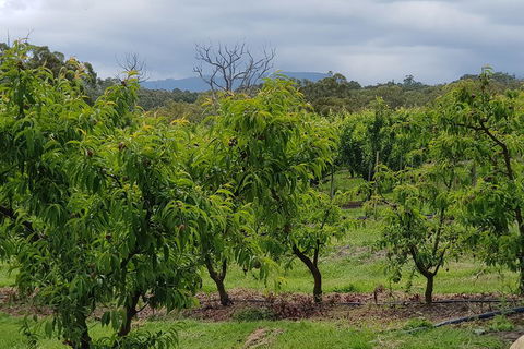 Yarra Valley Wineries And Rayners Orchard Tour From Melbourne - Mackay Tourism 2