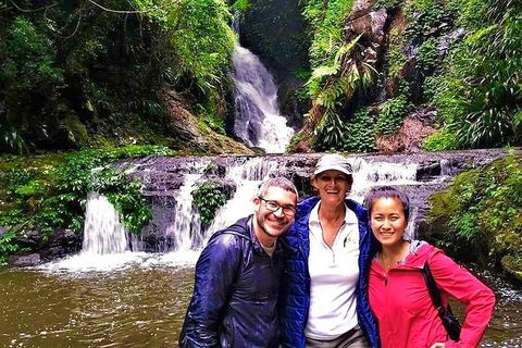 Exclusive Private Tour - Design Your Own - Mackay Tourism 0