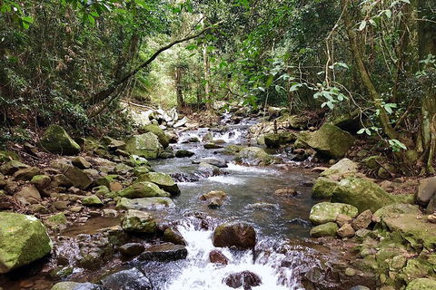 Exclusive Private Tour - Design Your Own - Mackay Tourism 1