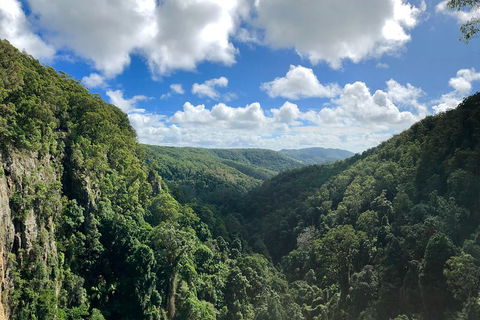Exclusive Private Tour - Design Your Own - Mackay Tourism 3