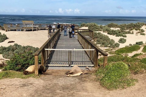 Kangaroo Island 4WD Tour - Best Of KI - Mackay Tourism 2