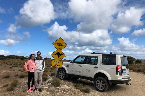 Kangaroo Island 4WD Tour - Best Of KI - Mackay Tourism 5
