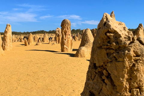 Pinnacles Desert (Private) Day Tour - Mackay Tourism 0