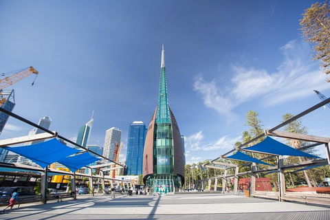 Perth Scavenger Hunt: Perched On A Swan - Mackay Tourism 3
