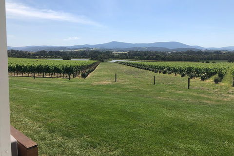 Yarra Valley, Dandenong Ranges Inc. Lunch With Wine,plus Morning Tea,chocolate - Mackay Tourism 3