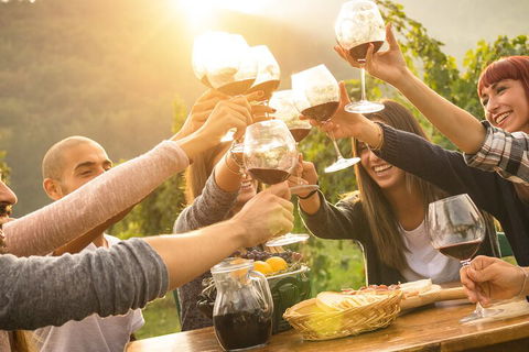 Yarra Valley, Dandenong Ranges Inc. Lunch With Wine,plus Morning Tea,chocolate - Mackay Tourism 4