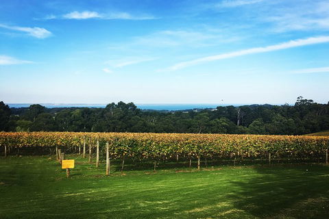 Yarra Valley Private Car Winery Tour And Chocolate.1-7 Passengers One Car Price - Mackay Tourism 0