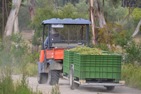 Yarra Valley Private Car Winery Tour And Chocolate.1-7 Passengers One Car Price - Mackay Tourism 1