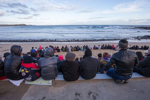 Full-Day Bus Tour Phillip Island Wildlife And Brighton Beach - Mackay Tourism 1