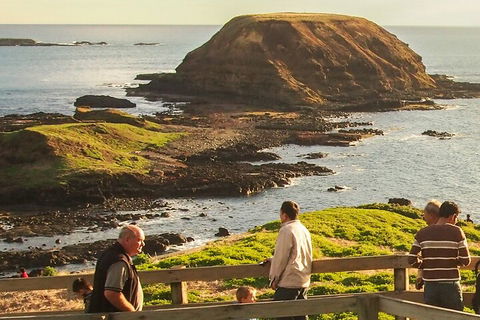 Full-Day Bus Tour Phillip Island Wildlife And Brighton Beach - Mackay Tourism 2