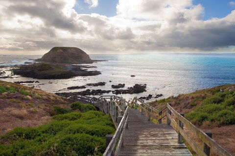 Healesville Sanctuary And Phillip Island Wildlife Bus Tour - Mackay Tourism 5