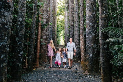Paronella Park And Millaa Millaa Falls Full-day Tour From Cairns - Mackay Tourism 5