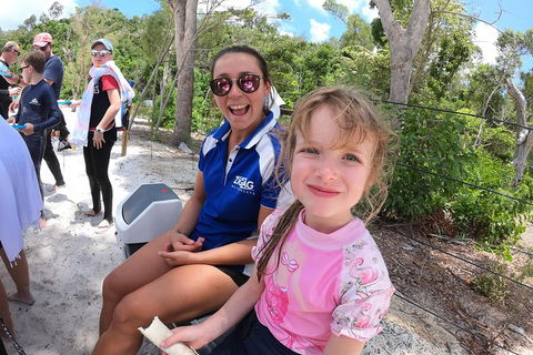 Whitehaven Beach Day Tour With Snorkel In Whitsundays Island - Mackay Tourism 1