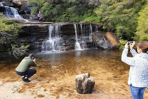 Blue Mountains Small Group Tour Enjoy A Sleep In, Waterfalls, Sunset & Dinner - Mackay Tourism 2