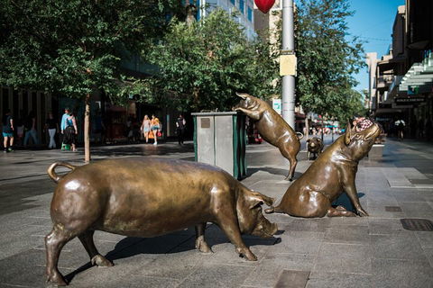 Guided Walking Tour In Adelaide - Mackay Tourism 4