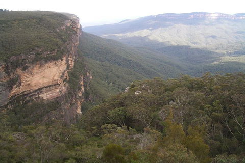 Full-Day Private Blue Mountains Tour With River Cruise - Mackay Tourism 3