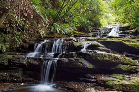 Private All Blue Mountains Day Tour - Mackay Tourism 1