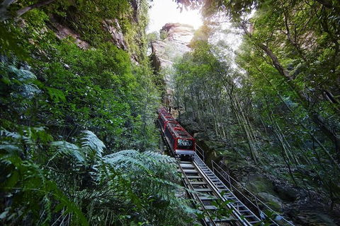 Private All Blue Mountains Day Tour - Mackay Tourism 3