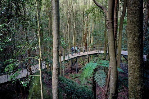 Private All Blue Mountains Day Tour - Mackay Tourism 4