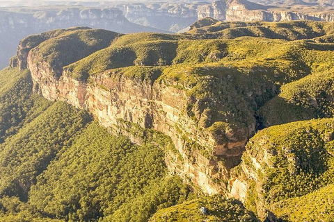 Private All Blue Mountains Day Tour - Mackay Tourism 5