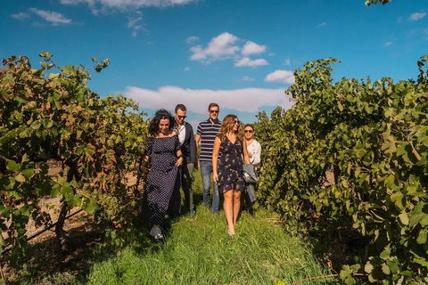 Barossa Valley Private Tour (from 2 To 11 People) - Mackay Tourism 0