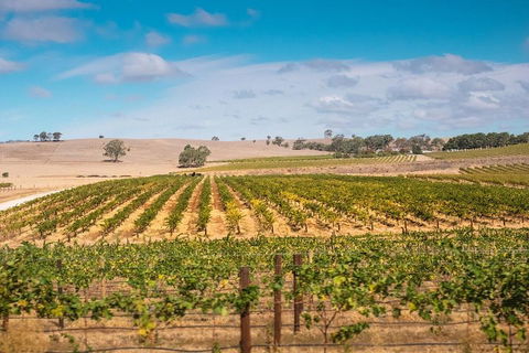 Barossa Valley Private Tour (from 2 To 11 People) - Mackay Tourism 2