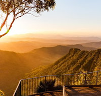 O'Reilly's  Lamington National Park incl. Alpaca Farm  Vineyard - Mackay Tourism
