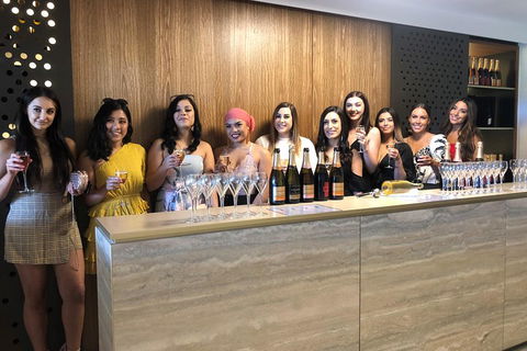 Yarra Valley Public Winery Tours - Mackay Tourism 0