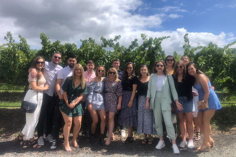 Yarra Valley Public Winery Tours - Mackay Tourism 3