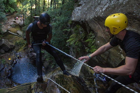 Blue Mountains Empress Canyon Adventure From Wentworth Falls - Mackay Tourism 2