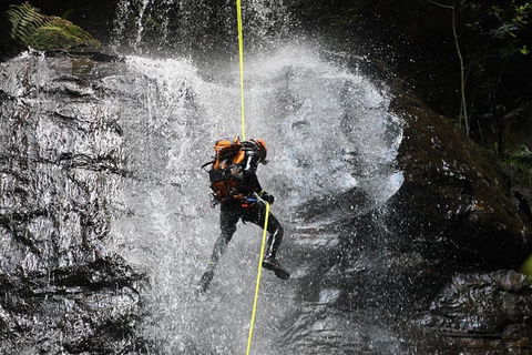 Blue Mountains Empress Canyon Adventure From Wentworth Falls - Mackay Tourism 3