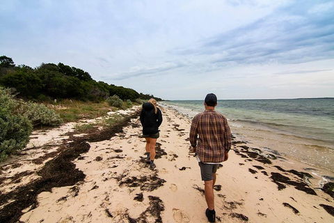 Phillip Island And French Island Wildlife Expedition - Mackay Tourism 1