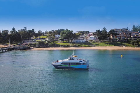 Phillip Island And French Island Wildlife Expedition - Mackay Tourism 2