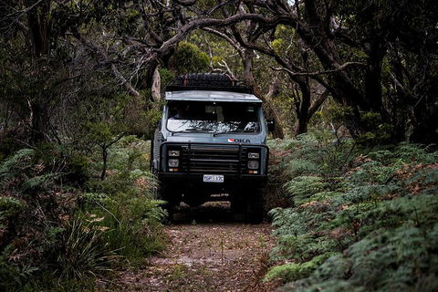 Phillip Island And French Island Wildlife Expedition - Mackay Tourism 4