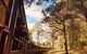 Private Yarra Valley And Puffing Billy Tour - thumb 1
