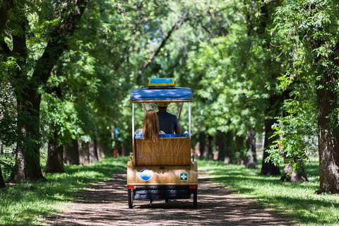 Adelaide 90-Minute Pedicab Tour: Scenic Green & River Experience - Mackay Tourism 2