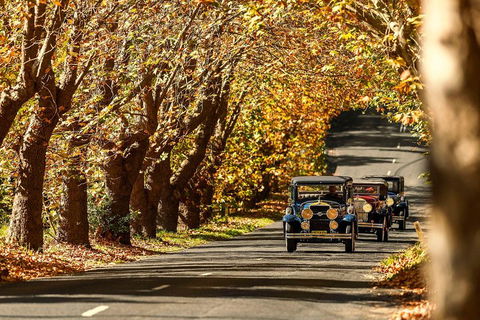 Blue Mountains Vintage Cadillac Tour With Local Guide - Mackay Tourism 1