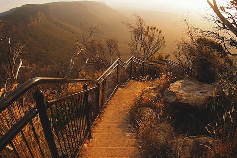 Blue Mountains Vintage Cadillac Tour With Local Guide - Mackay Tourism 3