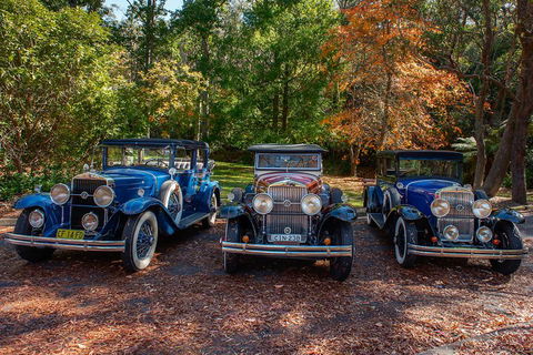 Blue Mountains Vintage Cadillac Tour With Local Guide - Mackay Tourism 4