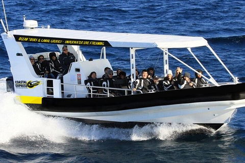 Mooloolaba Whale Watching Tour - Mackay Tourism 0