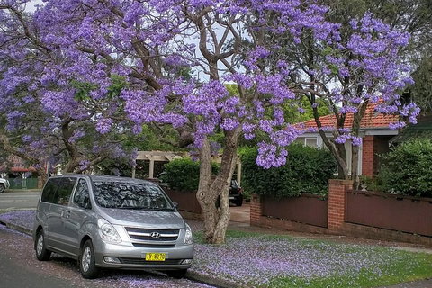 Sydney Secrets & Bondi Beach Private 4 Hr Morning With Personalised Sydney Tours - Mackay Tourism 0