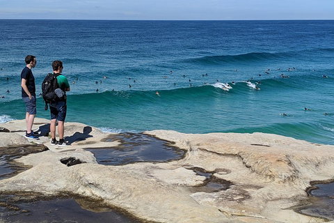 Sydney Secrets & Bondi Beach Private 4 Hr Morning With Personalised Sydney Tours - Mackay Tourism 2