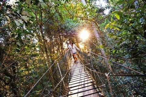 O'Reilly's & Lamington National Park From Brisbane - Mackay Tourism 5