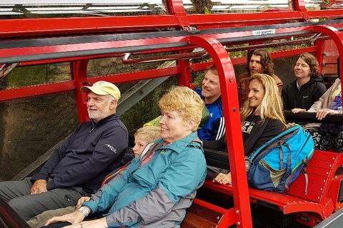 Blue Mountains Ultimate One-Day Tour - Mackay Tourism 0