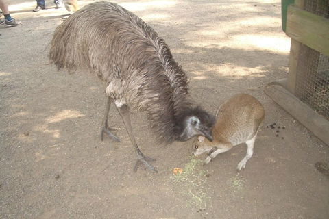 Blue Mountains PRIVATE Day Tour - Mackay Tourism 4