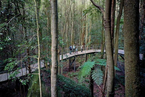 Blue Mountains PRIVATE Day Tour - Mackay Tourism 5