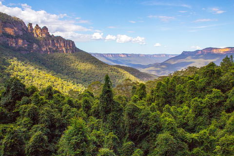 Blue Mountains Nature And Wildlife Day Tour From Sydney - Mackay Tourism 1