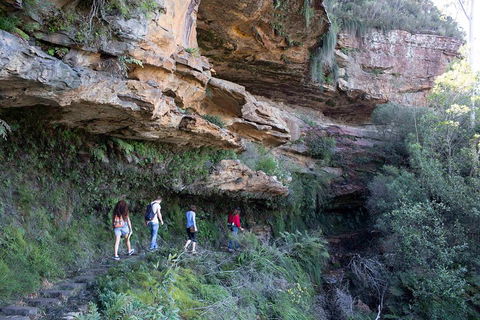 Blue Mountains Nature And Wildlife Day Tour From Sydney - Mackay Tourism 2